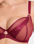 Scantilly Suspense Plunge Bra Sangria