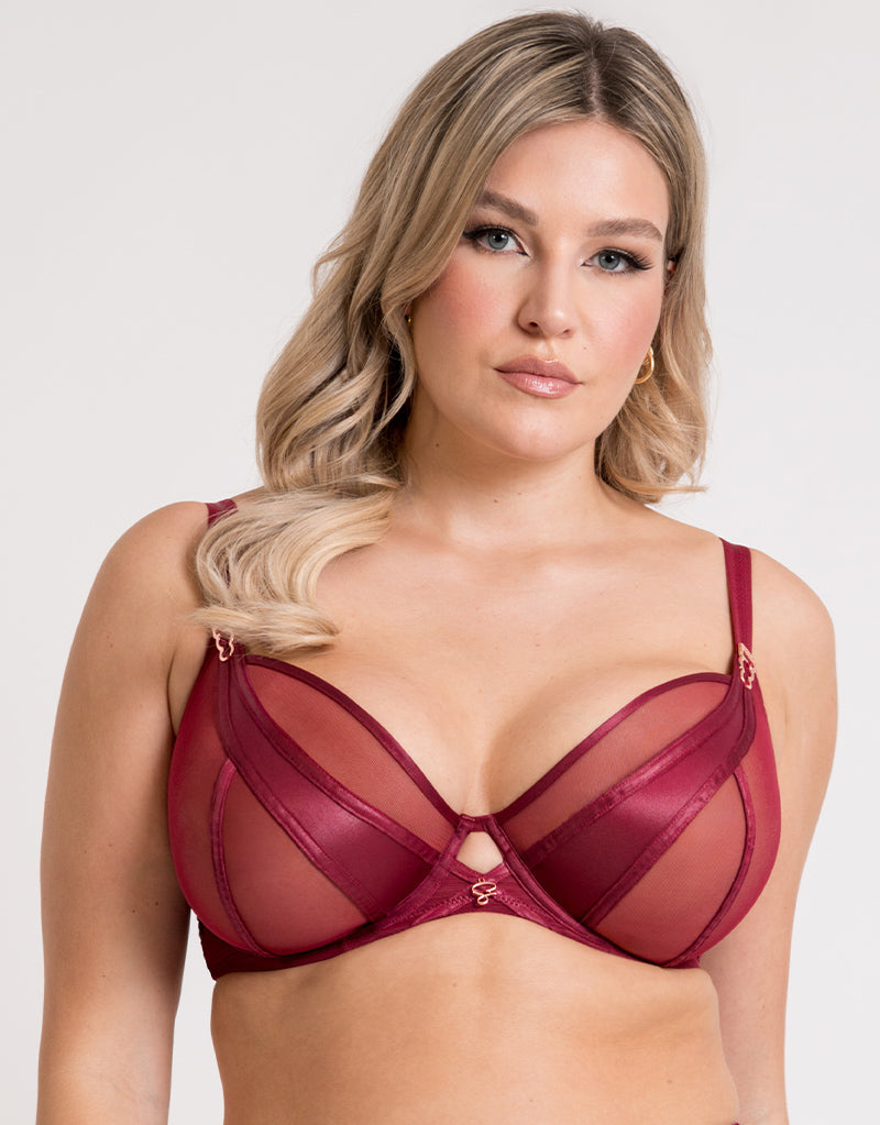 Scantilly Suspense Plunge Bra Sangria