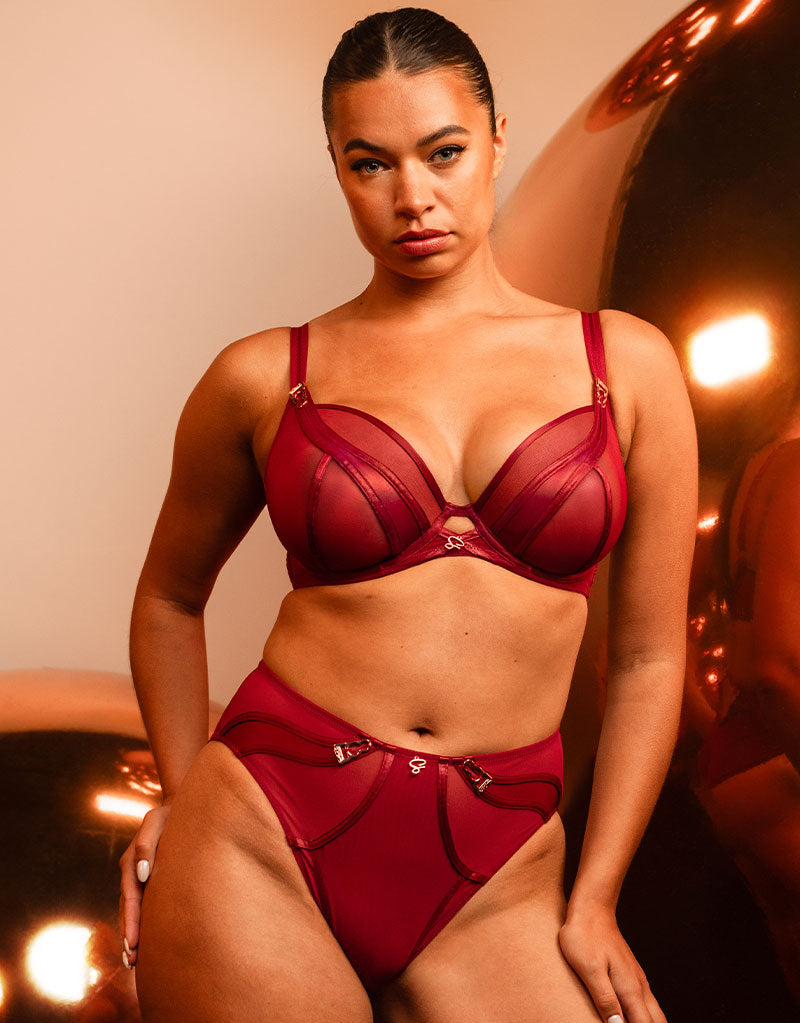 Scantilly Suspense Plunge Bra Sangria