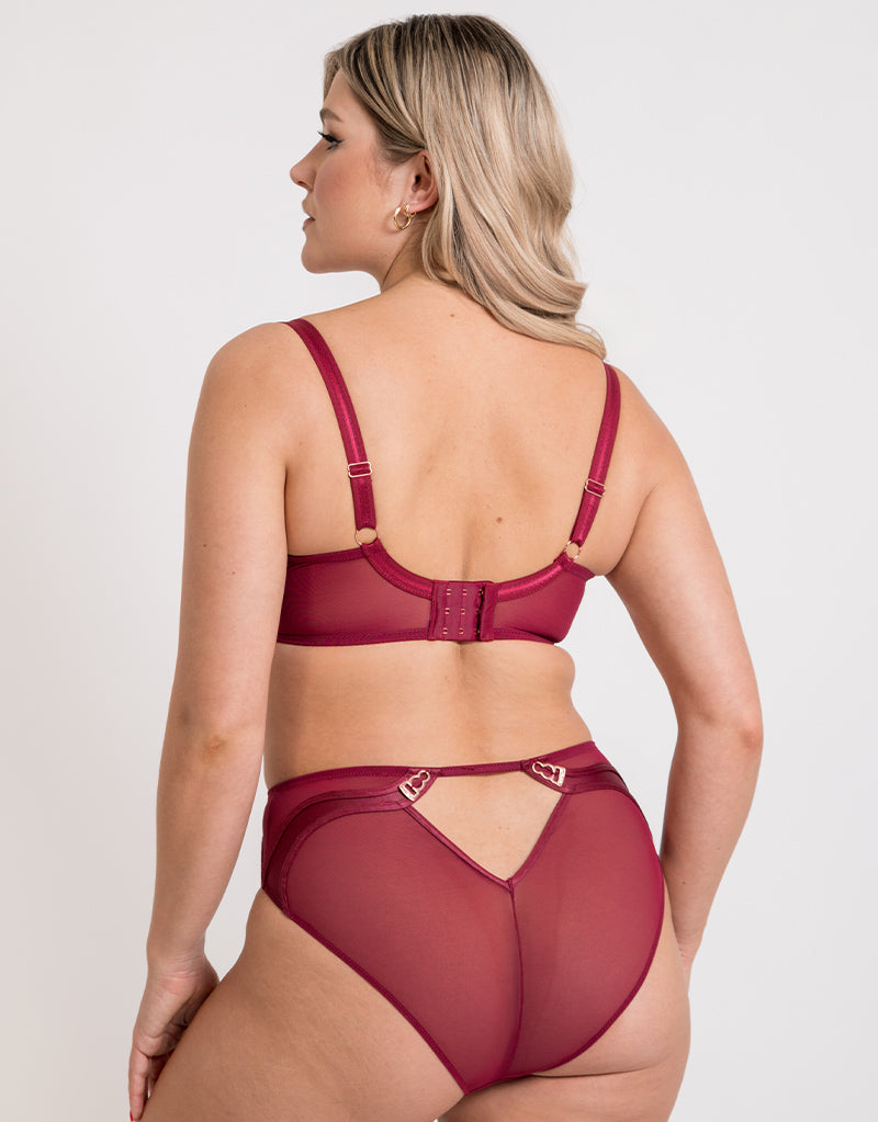 Scantilly Suspense High Waist Brief Sangria