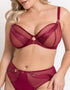 Scantilly Suspense Plunge Bra Sangria