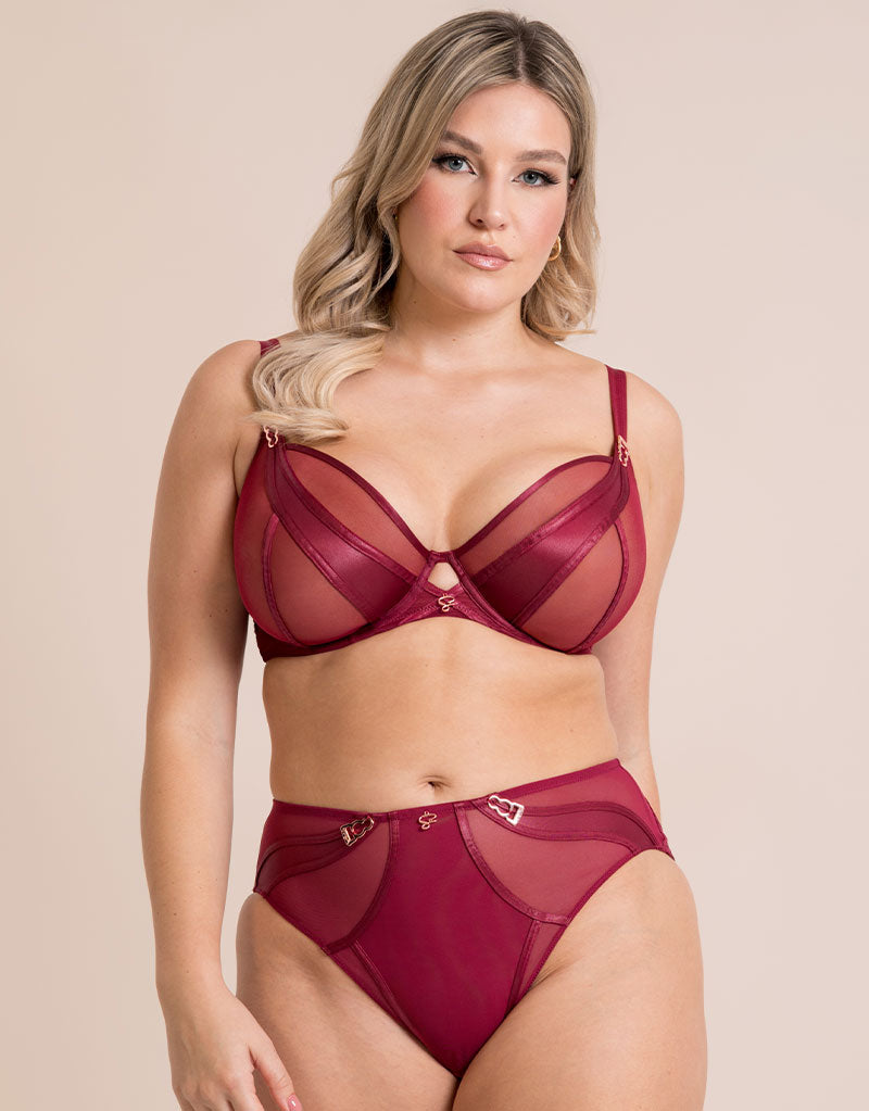 Scantilly Suspense High Waist Brief Sangria