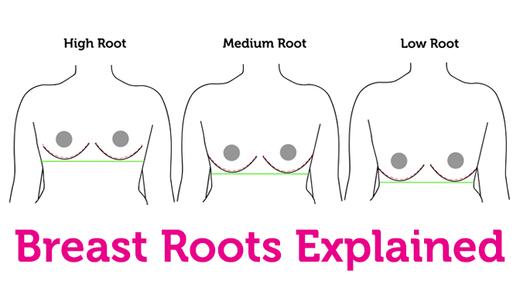 Breast Roots - The Low-down – Curvy Kate US
