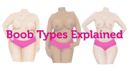 what type of boobs do you have - all boob types