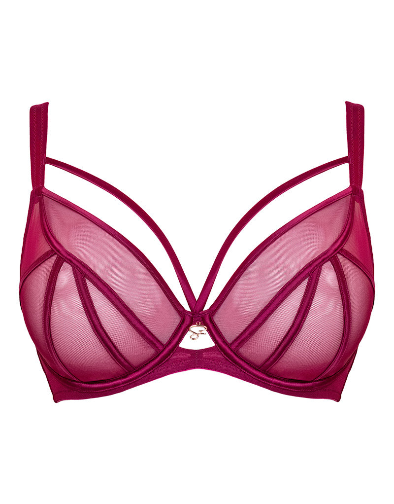 Plunge Bras  Poinsettia – Tagged size-36gg–