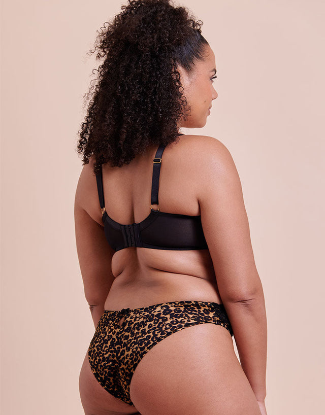 Curvy Kate Boost Lace Tanga Brief Leopard Print