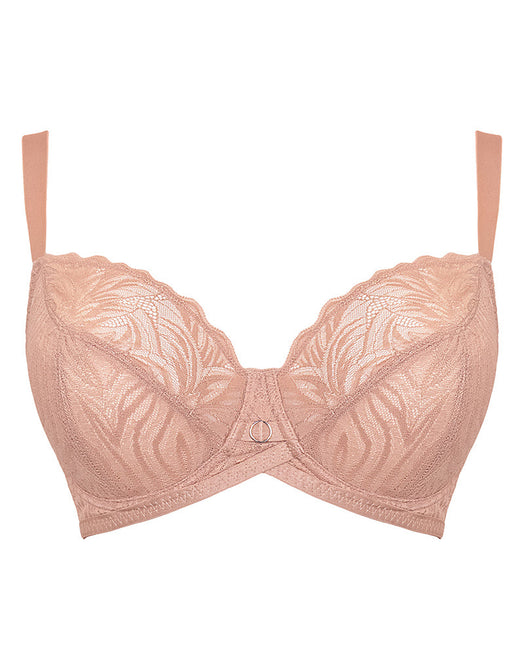 Curvy Kate Lace Daze Brazilian Brief Latte – Curvy Kate US