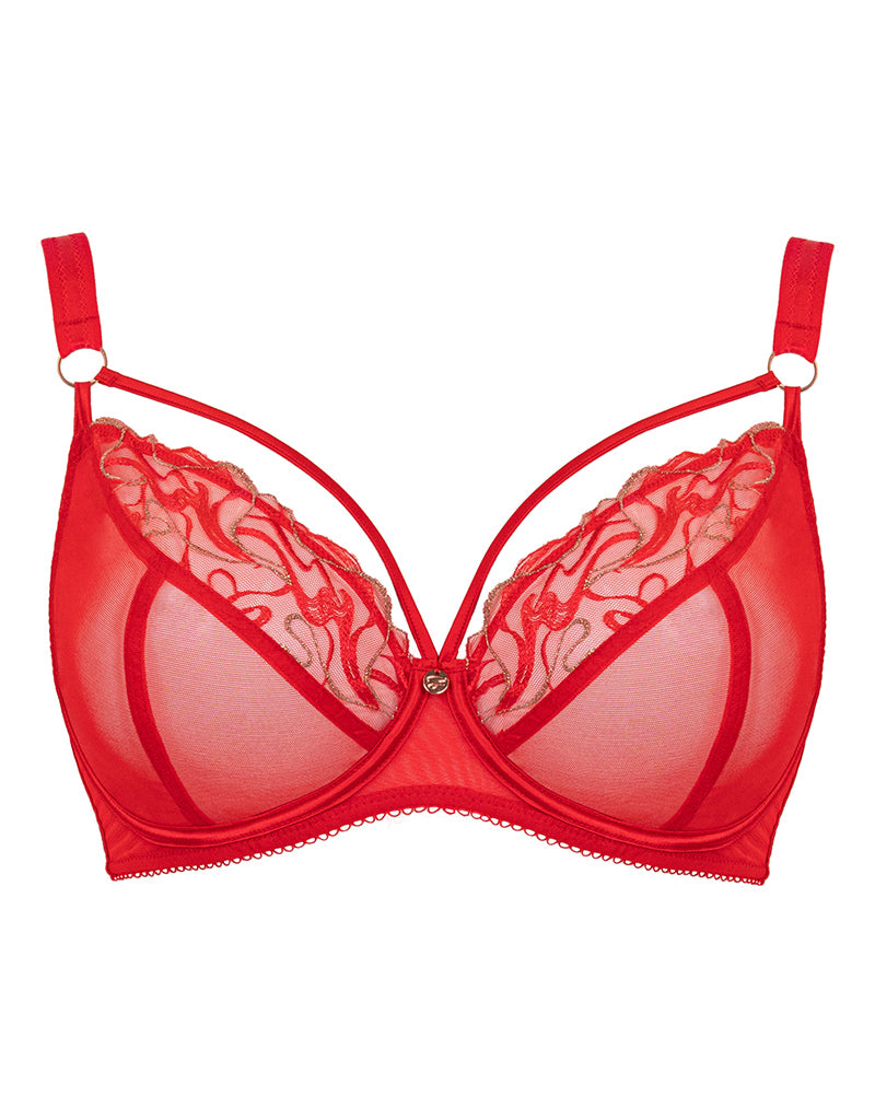 Plunge Lace And Mesh Bralette - Candy red