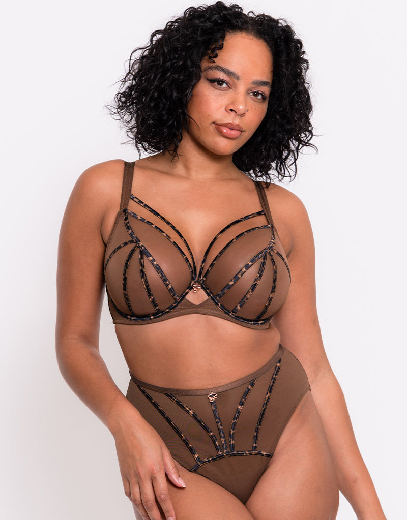 Buy A-GG Boudoir Collection Brown Satin Underwired Padded Bra 42D