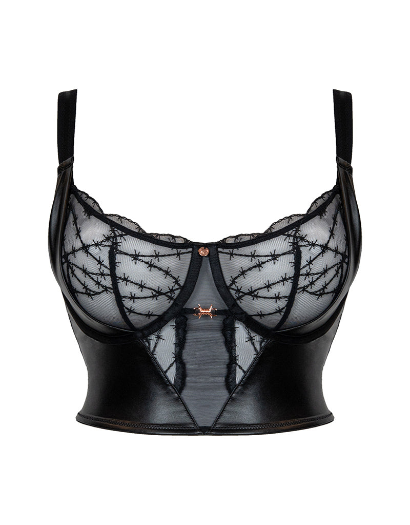 Scantilly by Curvy Kate Unzipped Plunge Bra, 32FF, Black : :  Clothing, Shoes & Accessories