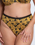 Curvy Kate Artisan High Waist Brazilian Ochre/Black